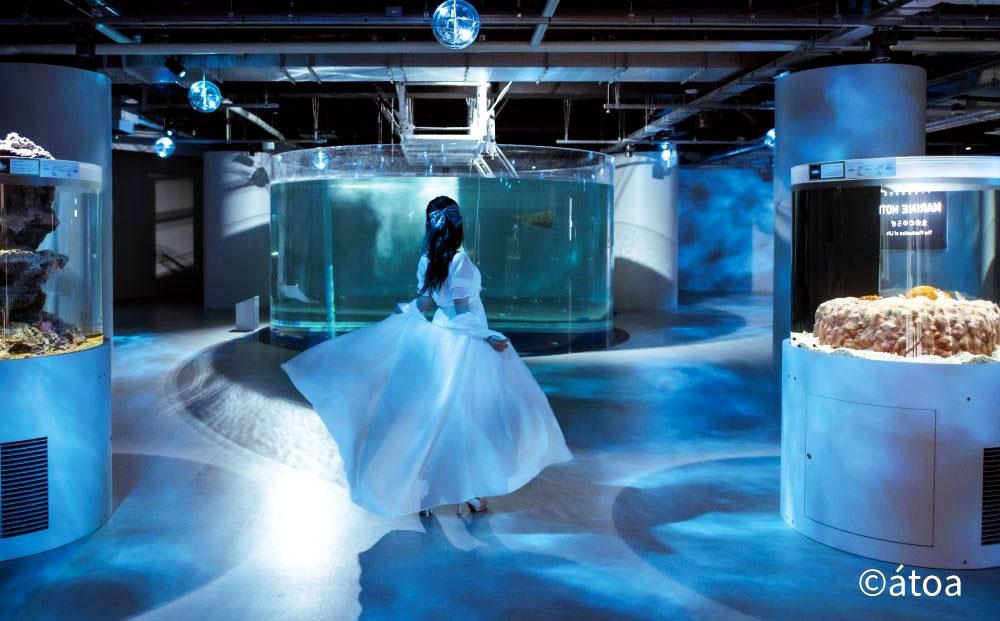 神戸の港の水族館　AQUARIUM ×ART atoa　ロケーションレンタル＜1時間＞1組5名様