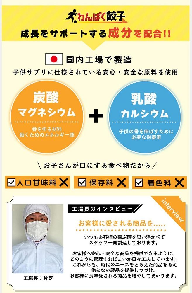 神戸餃子楼　わんぱく餃子（100個入）