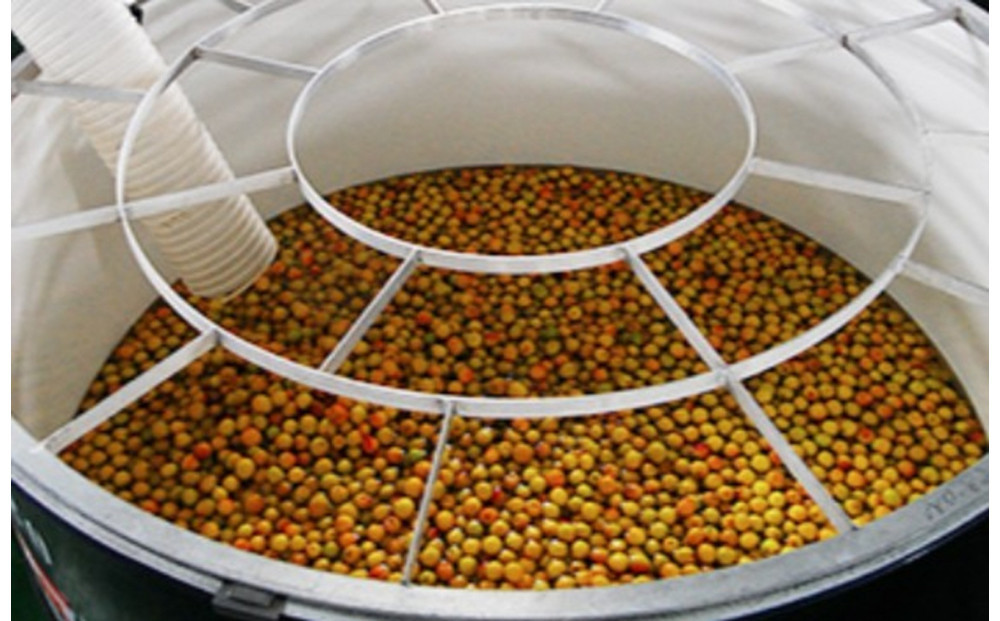 白鶴 梅酒原酒 720ml瓶 x 6本