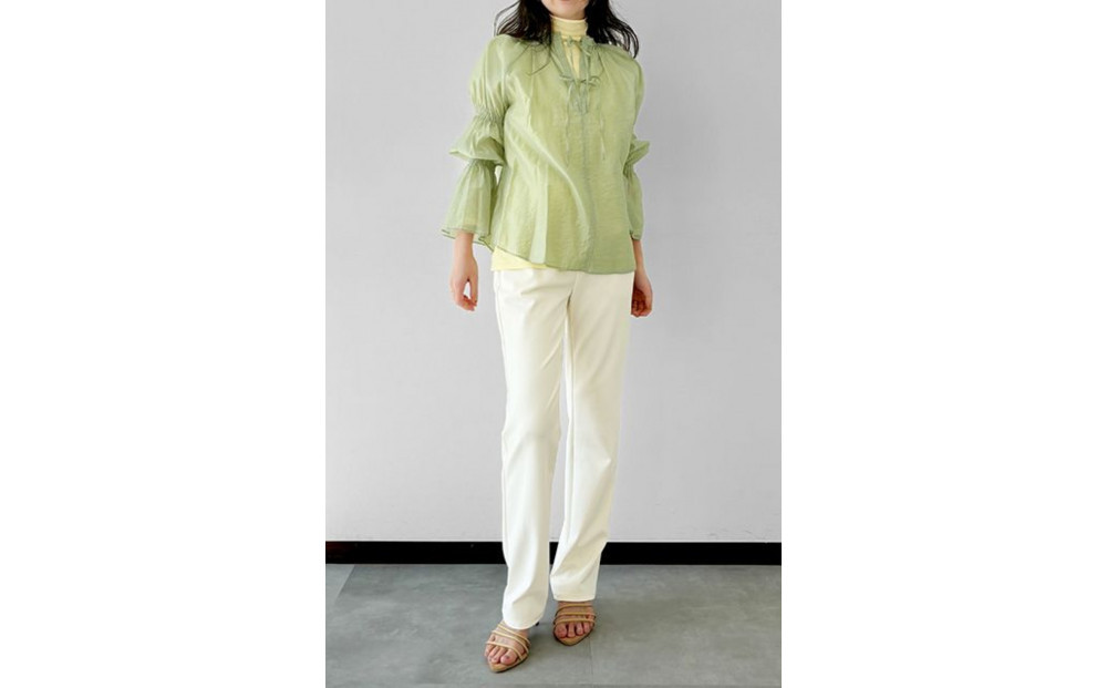 【B-THREE/ビースリー】ペットの抜け毛や花粉がつきにくい  ストレートパンツ(870031)