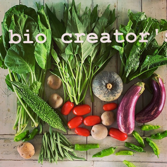 神戸で育った有機野菜セット