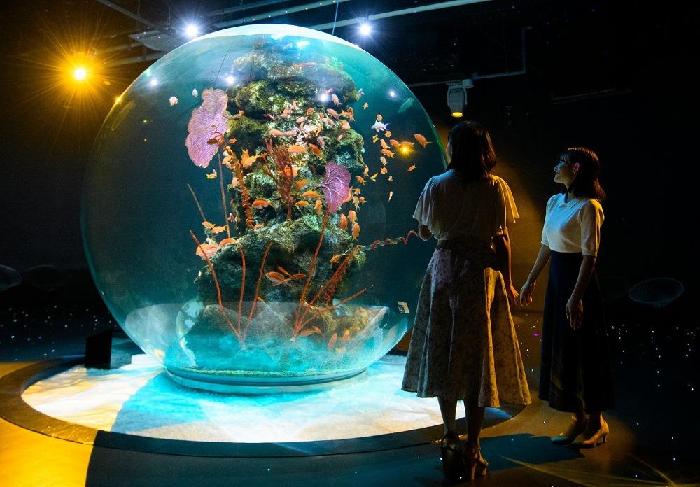 AQUARIUM × ART atoa（アトア）入場引換券（3名様）