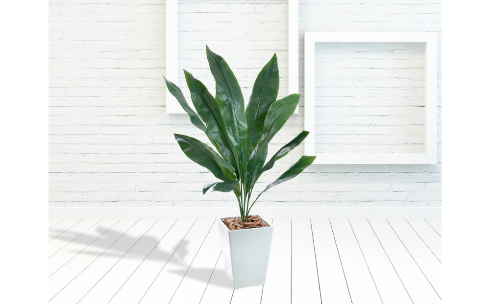 人工観葉植物　ハラン　白樹脂鉢Sサイズ付