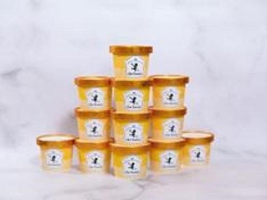 【che bonta（ケ・ボンタ）】人気ジェラート12個セット（ミルク・バニラ・ピスタチオ・ほうじ茶のロイヤルミルクティー・抹茶・いちごミルク・ジャンドゥーヤ・ヨーグルトベリー・シトロン・有機チョコレートと自家製プラリネ）