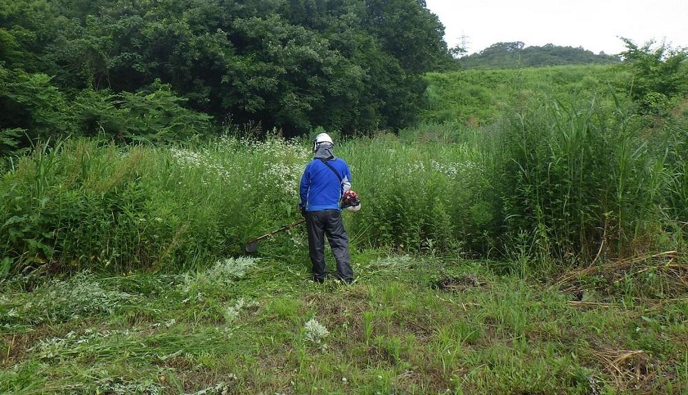 空き家空地の草刈、竹林・雑木林等の伐採、⇒運搬⇒リサイクル（30000円相当）