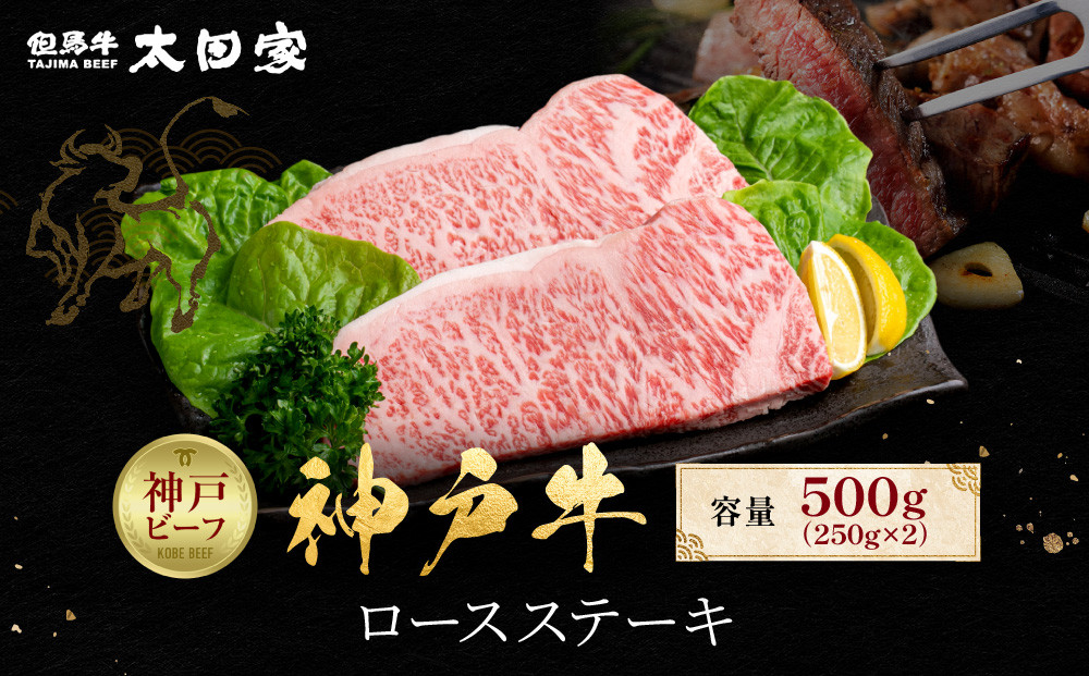 神戸牛 ロースステーキ 250g×2枚 計 500g KBST5