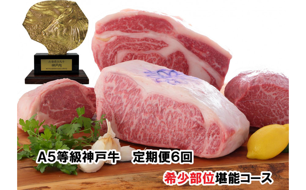 ＜定期便6回＞ A５等級神戸牛　希少部位堪能コース 【神戸ぐりる工房】ステーキ すき焼き 焼肉（隔月でお届け）
