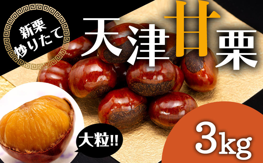 無添加 大粒天津甘栗 3kg 【沖縄県・離島配送不可】