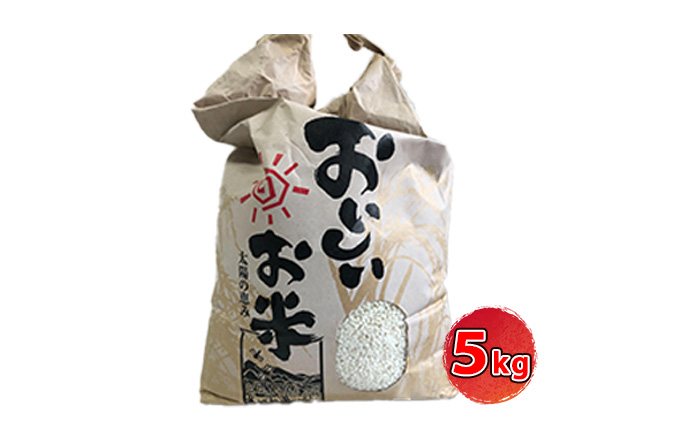 [令和7年産]<10月初旬以降発送予定>きぬひかり5キロ 兵庫県姫路市産　白米　米　お米 精米 ご飯 甘みが強い ツヤ キヌヒカリ もっちりとした食感 単一原料米 おいしいお米