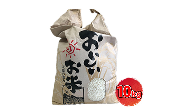 [令和7年産]<10月初旬以降発送予定>きぬひかり10キロ 兵庫県姫路市産　白米　米　お米 精米 ご飯 甘みが強い ツヤ キヌヒカリ もっちりとした食感 単一原料米 おいしいお米