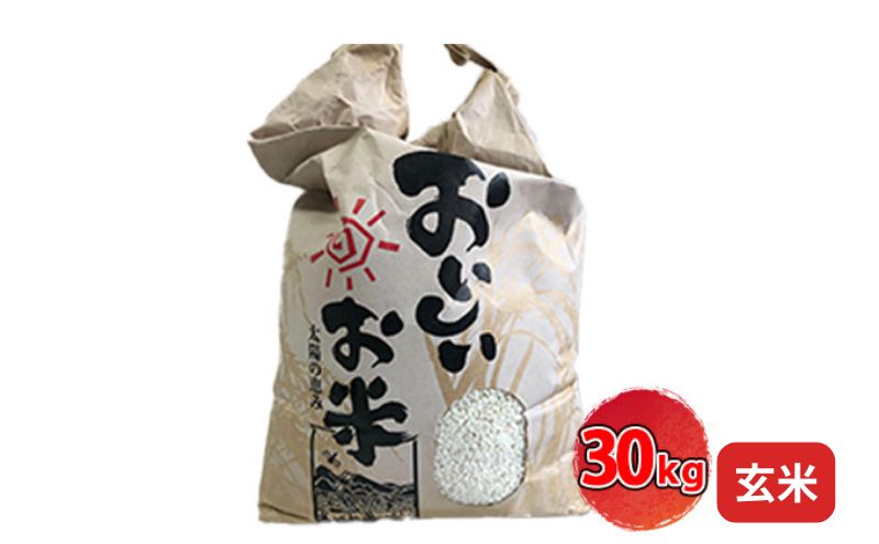[令和7年産]<10月初旬以降発送予定>きぬひかり玄米30キロ 兵庫県姫路市産　白米　米　お米 精米 ご飯 甘みが強い ツヤ キヌヒカリ もっちりとした食感 単一原料米 おいしいお米