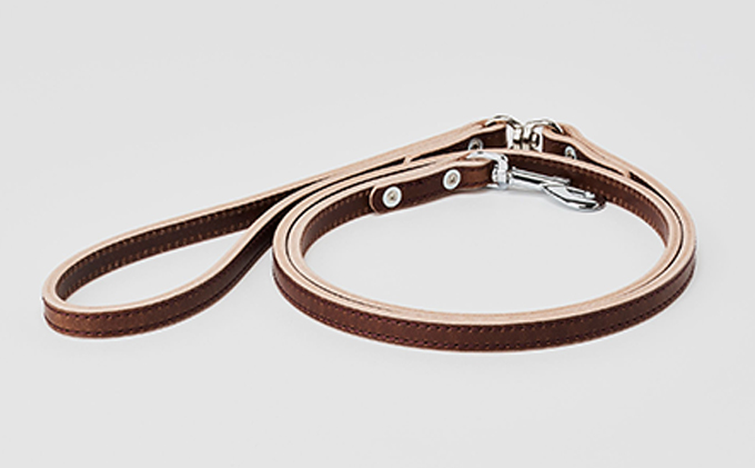 good lead 小型犬用10mm幅［犬 猫 リード］クリ