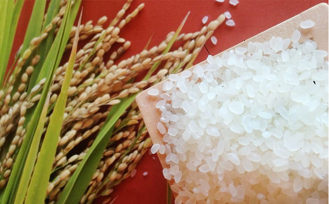 【定期便】特別栽培米　精米　ヒノヒカリ　5kg×12回