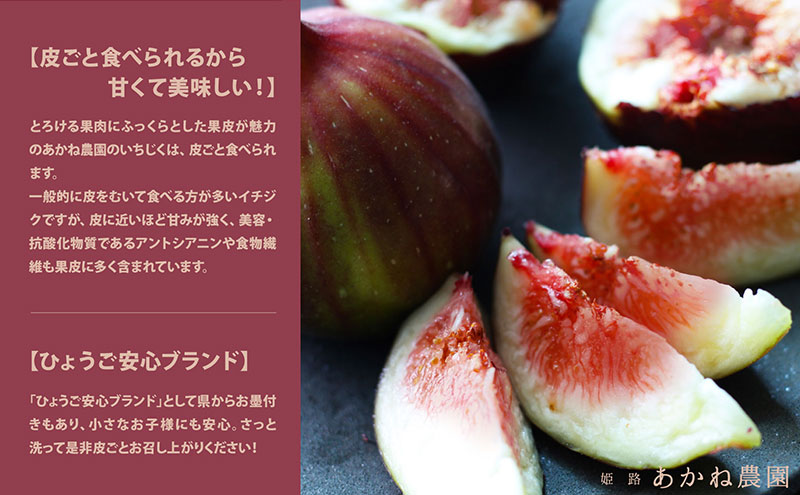 【皮ごと食べれて甘い】あかね農園「いちじく」約600g 果物 フルーツ イチジク 無花果 デザート おやつ 産地直送