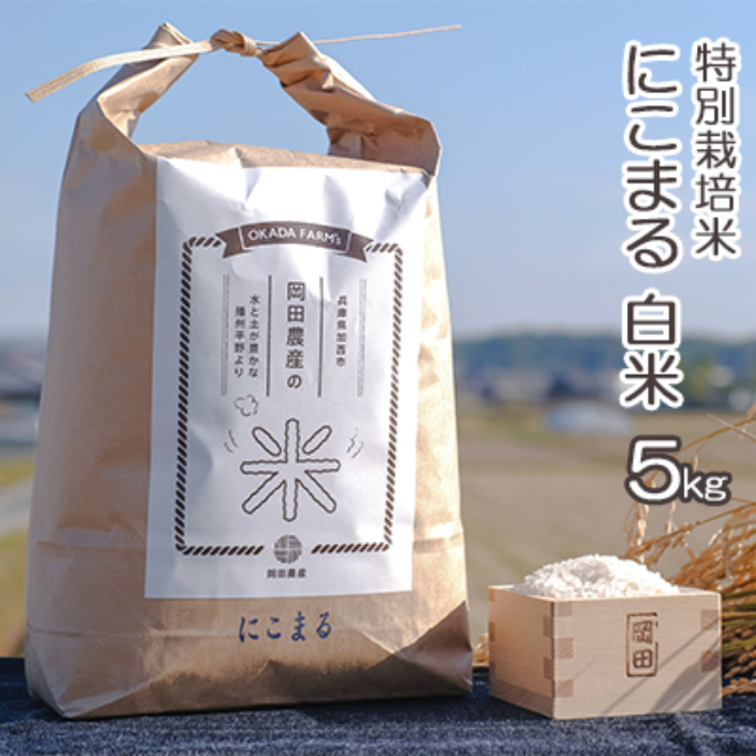 バケツ職人のライスストッカー シルバー × 米 にこまる 5kg 【姫路市 × 加西市 共通返礼品】