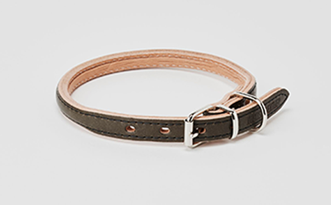 good collar 4号［犬 猫 首輪］ヤナギ