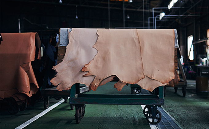 good collar 5号［犬 猫 首輪］ヤナギ