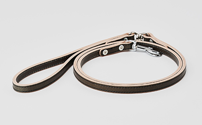 good lead 小型犬用10mm幅［犬 猫 リード］クリ