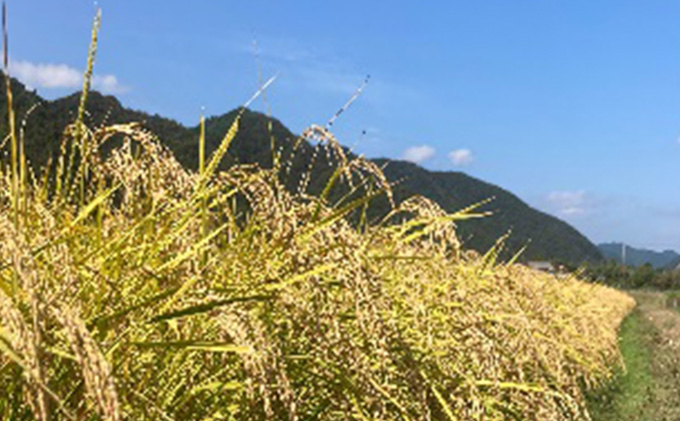 2026年1月中旬以降出荷予定【令和7年度産】こばファームの自然米 2kg （1kg×2袋） 精米 （秀明自然農法認証、有機JAS認証） お米