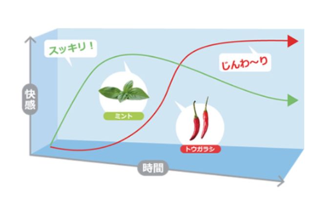 耳が初めて体験する気持ち良さ プロの耳そうじローション 耳洗潔クール20ml (約50回分) ×2本 耳そうじ 耳かき 爽快 すっきり 気持ちいい  業務用 理容: 姫路市ANAのふるさと納税