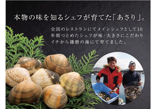 令和6年2月出荷 先行予約 【特大厳選】シェフが育てた白浜の活あさり2kg