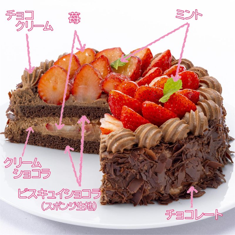 エクラン・ビジュー「チョコレートのケーキ」 お菓子 タルト 宝石箱 フルーツ 新鮮 美味しい カスタードクリーム 手作業 安心 しっとり