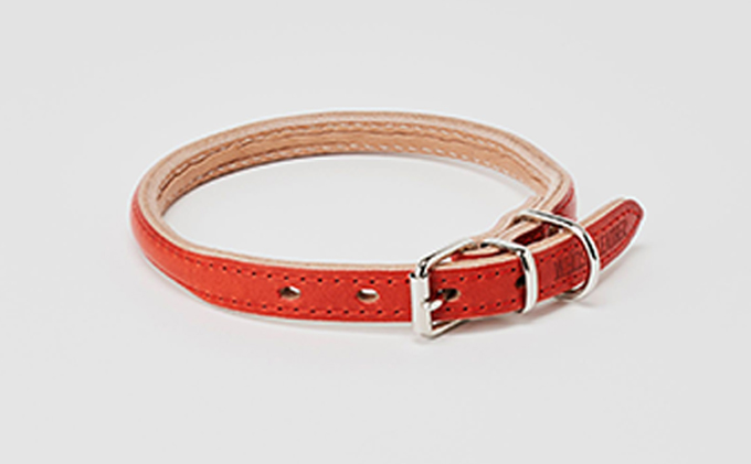 good collar 4号［犬 猫 首輪］ヤナギ