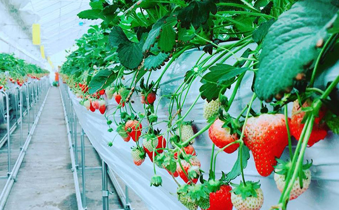 【セット人気No.1】みつヴィレッジの人気の加工品セット（8種）