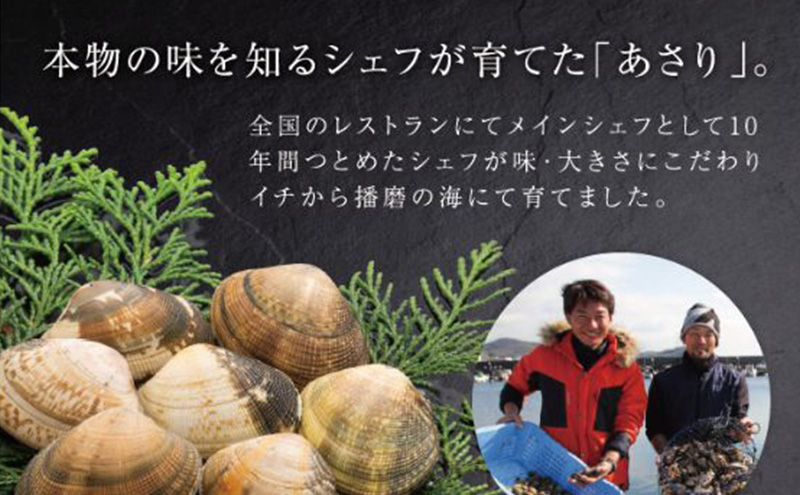 【2026年２月上旬出荷予定】さりひめ】姫路産養殖活あさり 特大1kg 貝類 贈答品 ギフト シェフ 身入り 甘い 加熱 白浜