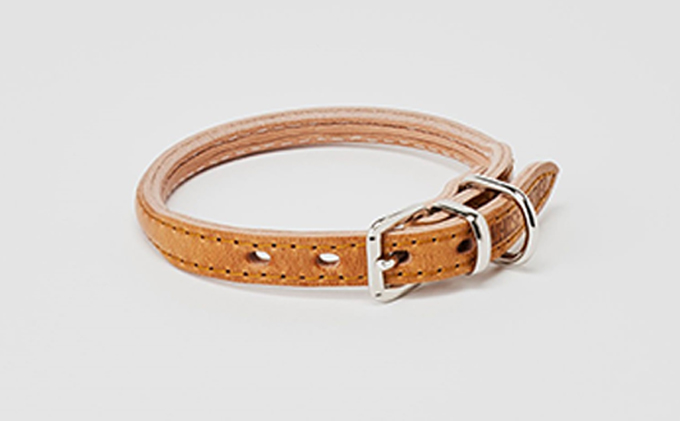 good collar 2号［犬 猫 首輪］アカネ