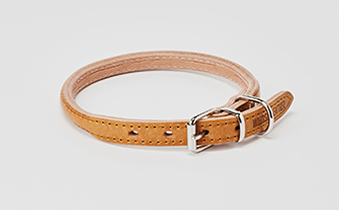 good collar 4号［犬 猫 首輪］ヤナギ