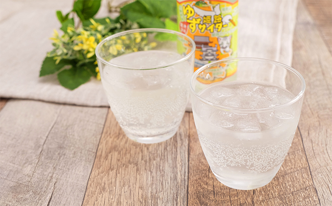 姫路ゆずサイダー　250ml×24本