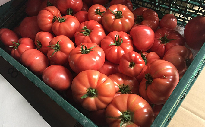 【手土産セット】お得なトマト加工品詰合せセット