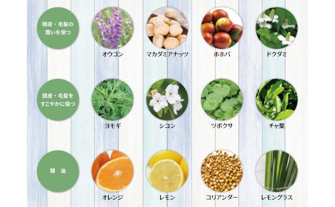 泡立て不要で簡単時短！大人も使える子どもシャンプー　OTOMOシャンプー500ml 湯冷め 泡シャンプー自然派 天然由来 お風呂 子供肌 頭皮 敏感肌大人ノンシリコン 植物オイル アロマオイル 毛穴 髪  子供用 ボタニカル デリケート肌 柑橘の香り