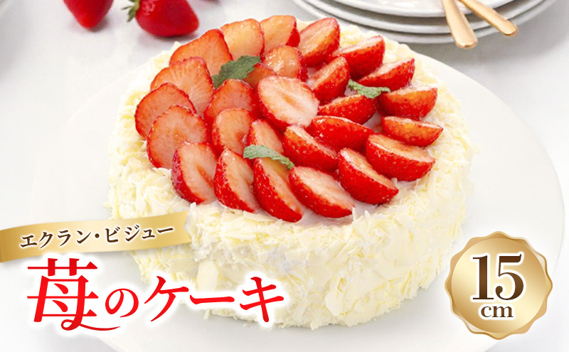 エクラン・ビジュー「苺のケーキ」 お菓子 タルト 宝石箱 フルーツ 新鮮 美味しい カスタードクリーム 手作業 安心 しっとり