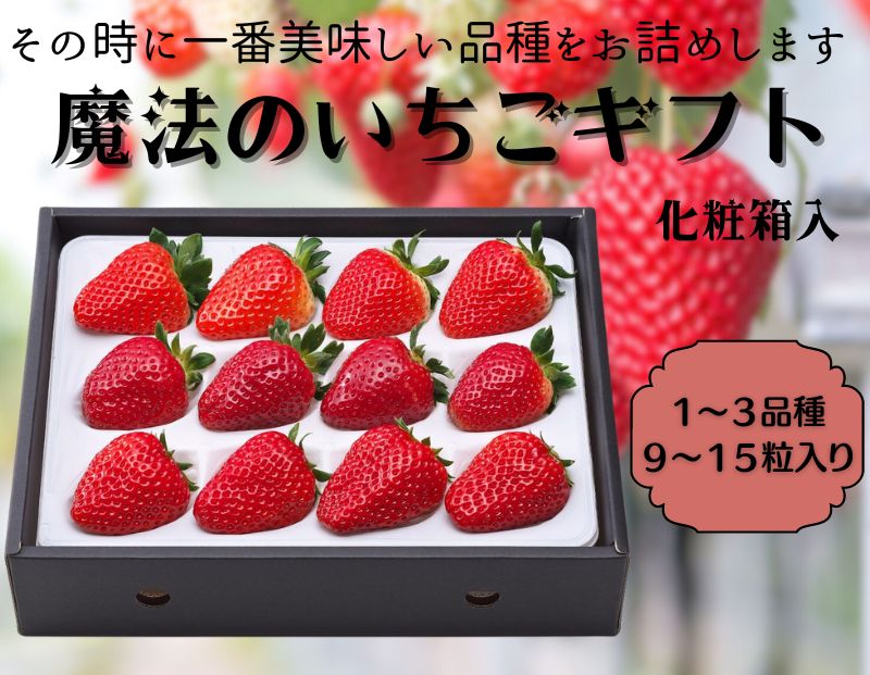 【12月上旬から順次出荷】魔法のいちごギフト化粧箱入り 果物 フルーツ デザート かおり野 かんな姫 おいCベリー よつぼし 紅ほっぺ　ほしうらら　スターナイト