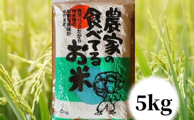 【令和年7度産】農家の食べてるお米　5kg　真空パック ライス ご飯 主食 ストック 日持ち 備蓄品 保存食 兵庫県産 姫路市産 産地直送
