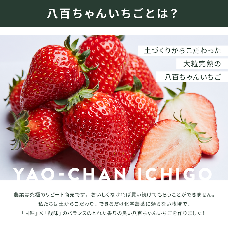 【定期便・全2回】農家のホンモノ いちごジャム 140g 2本セット × 2回｜五つ星ひょうご認定 国産 砂糖不使用  八百ちゃんいちご