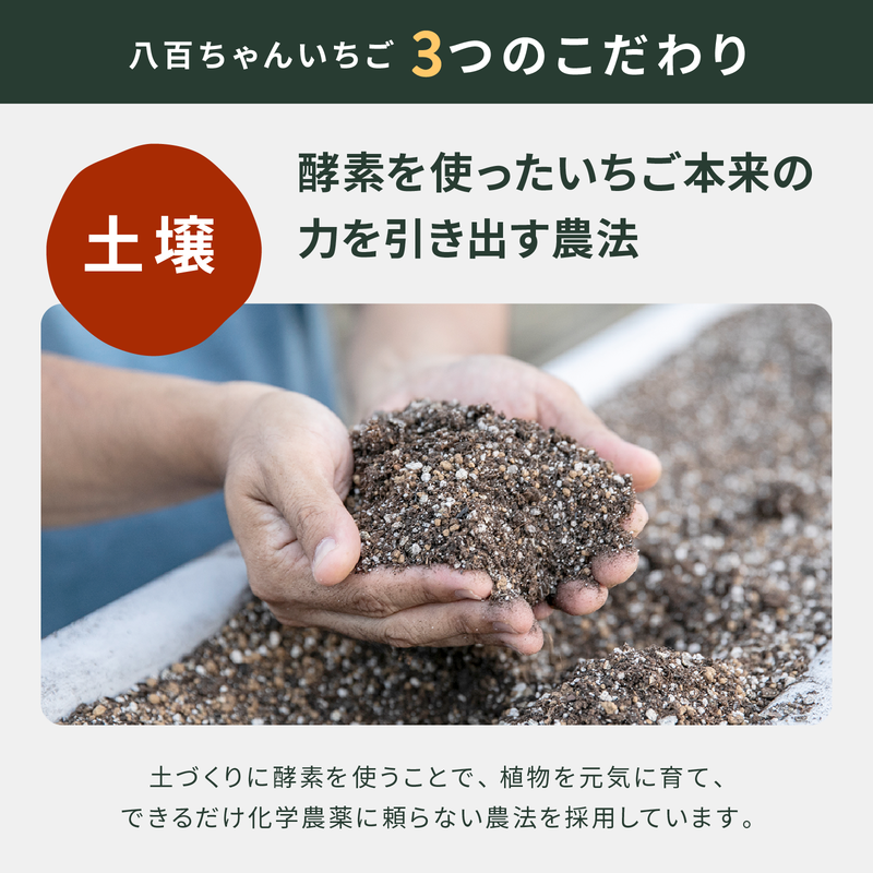 【定期便・全2回】農家のホンモノ いちごジャム 140g 2本セット × 2回｜五つ星ひょうご認定 国産 砂糖不使用  八百ちゃんいちご