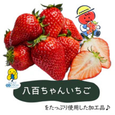 【定期便・全6回】いちごみるくのもと 220g 2本セット × 6回｜五つ星ひょうご認定 砂糖不使用  八百ちゃんいちご