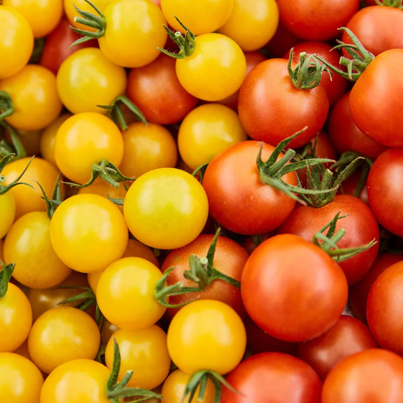 【定期便・全4回】イエローミニトマトのトマトジュース 180ml 30本セット × 4回｜国産 姫路産 八百ちゃんトマト 100%ストレート