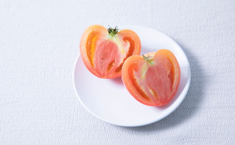 【定期便・全2回】サルサソース 340g 2本セット ×2回｜国産 姫路産 八百ちゃんトマト 着色料・保存料不使用