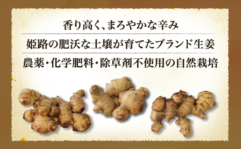 自然栽培で育てた甘くて瑞々しい姫路産熟成しょうが3.5kg 生姜 国産 栽培期間中 農薬 不使用 ショウガ 産地直送 農産物品評会 受賞