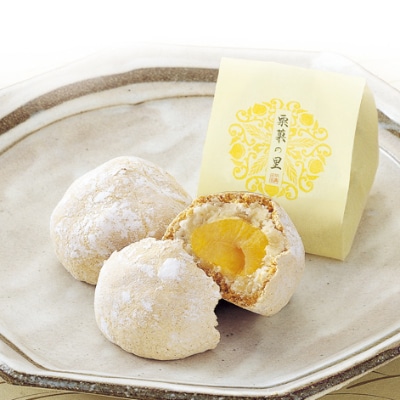 名菓撰【尼崎市・西宮市ふるさと納税共通返礼品】