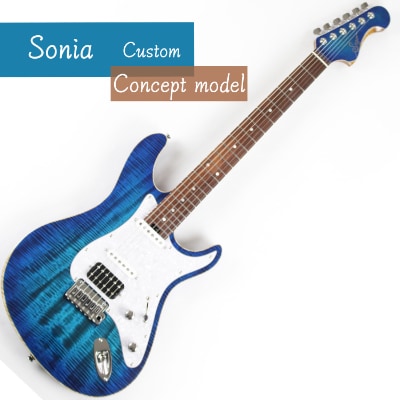 【オーダーギター・ベース】100万円分のオーダーチケット【Sago】