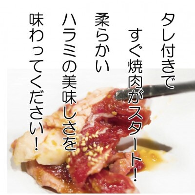 お肉屋さんオリジナル自家製ハラミダレ800g【配送不可地域：離島】