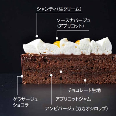 アンリ・シャルパンティエ監修　ザッハ・トルテ 1ホール(12cm・2~3名様)【配送不可地域：離島】