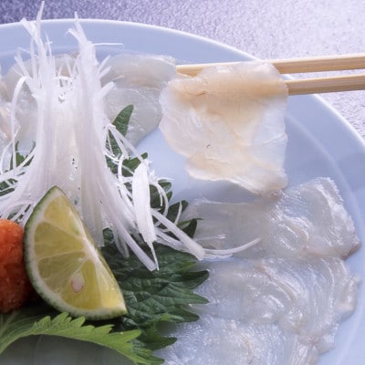 【9月30日受付終了】とらふぐ料理　玄品 阪神尼崎/玄品 塚口　お食事券[9,000円分]