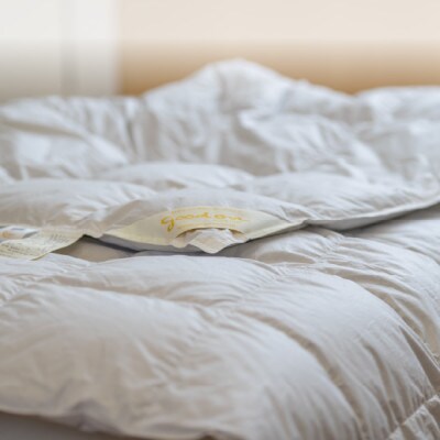 逸品 アイスランド産アイダーダック ダウン98% 夏用肌掛け羽毛ふとん シングルサイズ