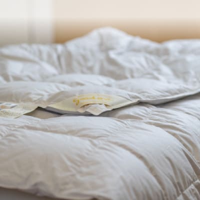 逸品 アイスランド産アイダーダック ダウン98% 夏用肌掛け羽毛ふとん ダブルサイズ